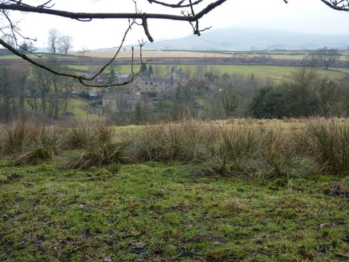 Photo rough pasture land - photo,