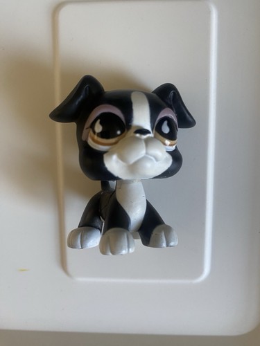 Lps littlest pet shop black - littlest,