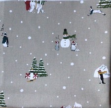Sophie Allport Snow Season