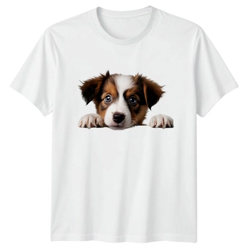Peeking australian shepherd - peeking,