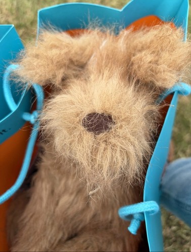 Jellycat rescue scruffles dog - jellycat,