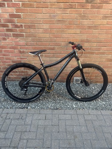 Dartmoor primal custom - dartmoor, 29