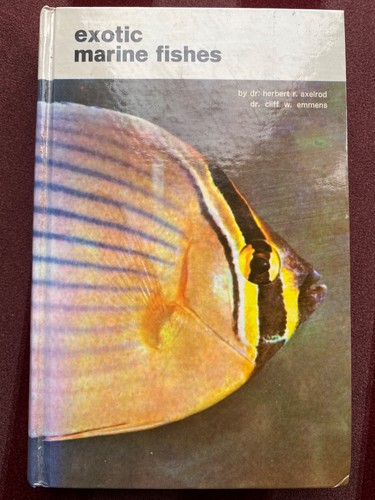 Exotic marine fishes - exotic,