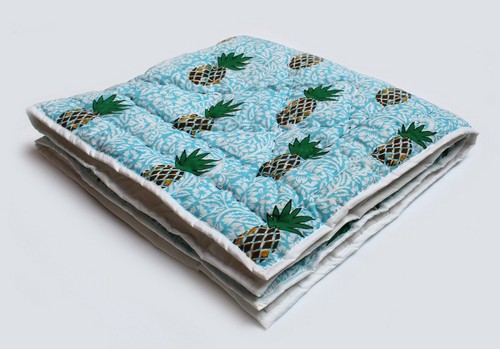 Blue pineapple indian - pineapple, hand