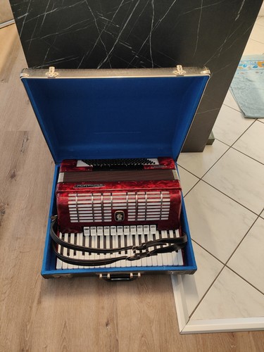 Accordion world champion diana - world,