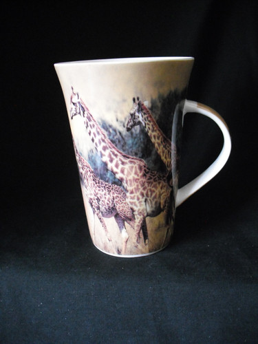 Leonardo lifestyle tall - lifestyle, coffee