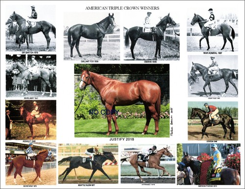 Memorabilia horse racing usa - horse,