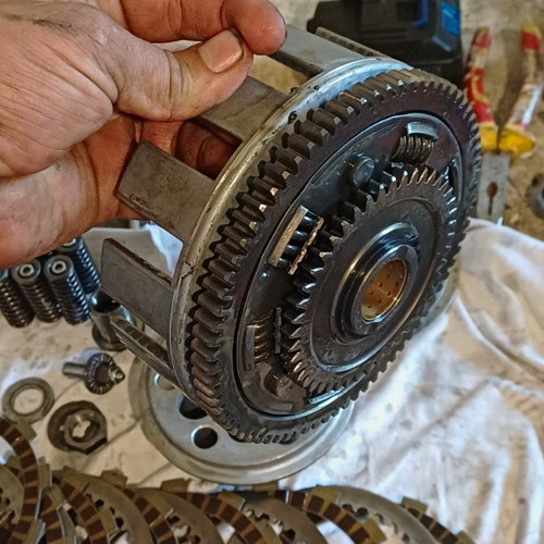Apache rlx450 complete clutch - rlx450,