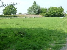 Photo A3 Vegetable plot at