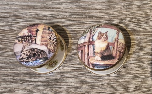 Bone china cat - china, pots