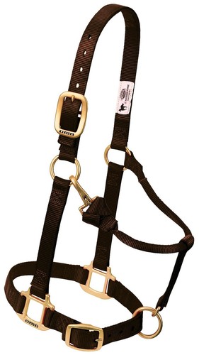 Premium nylon horse - premium, harness