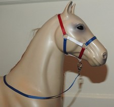 Our Generation American girl