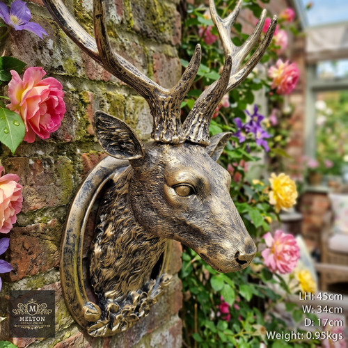 Wall mounted gold stag - wall,