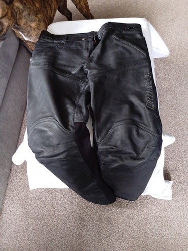 Dainesse leather motorcycle - dainesse,