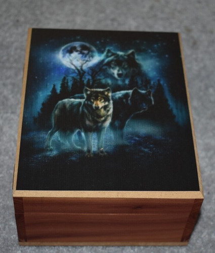 4565 twilight protectors - twilight,