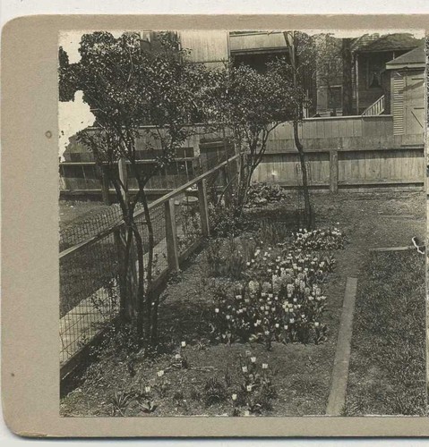 Residential backyard garden - backyard,