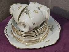 Vintage Adderley 'Lyncroft' H561 Fine Bone China Part Tea Set -  15 Pieces