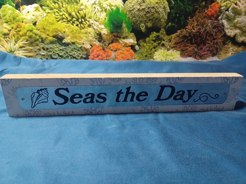 Seas seize the day nautical - seas,