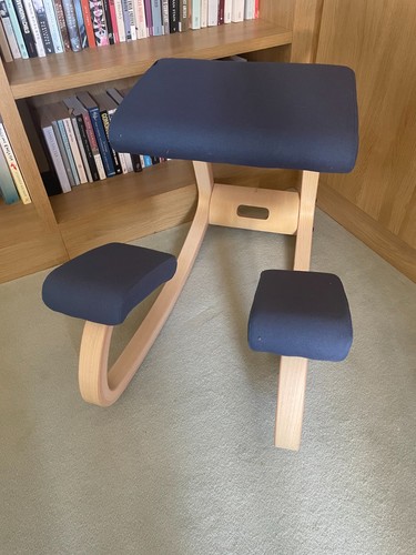 Scandinavian varier ergonomic - varier,