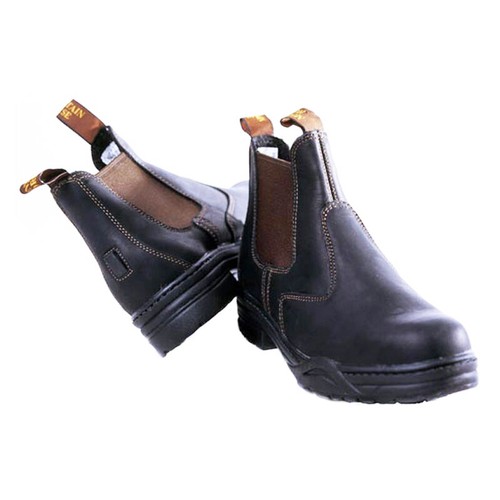 Mountain horse protective - mountain,