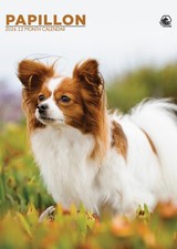 Papillon Calendar 2026