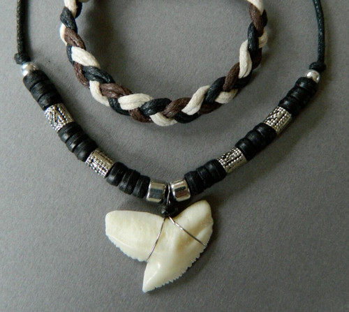 Necklace shark tooth - shark,