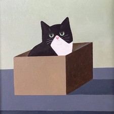 Cat in Box Black & White Cats