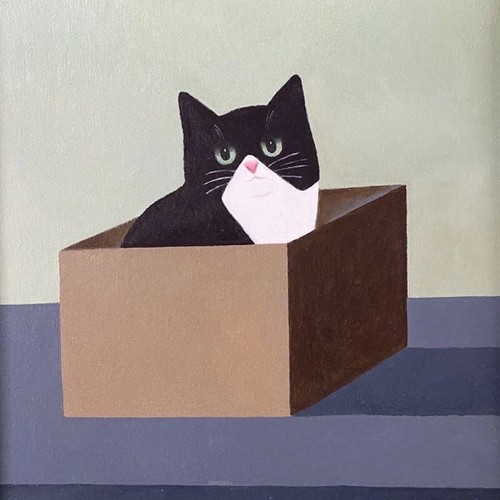 Cat box black - in,