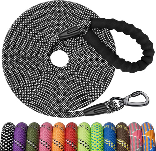 Training lead for dogs - training,