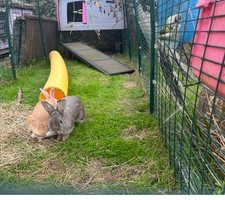  Omlet Cube Chicken Coop pink + 4 Run Extension 