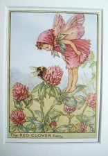 Vintage Flower Fairies & Mount