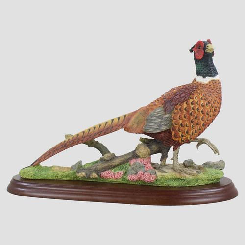 Pheasant walking border fine - walking,