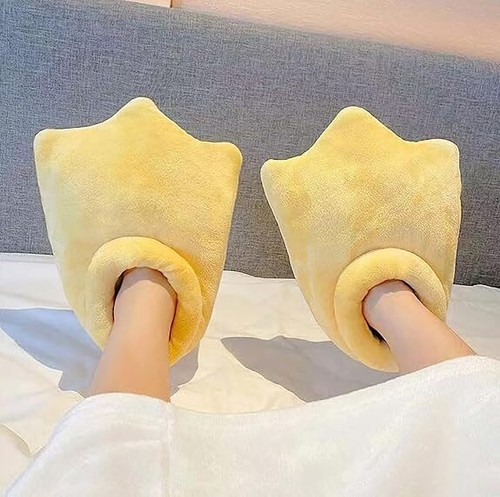 Cartoon duck feet - duck, house