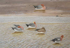 Peter Barrett Original Pastel