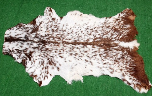 Genuine goat hide hair - goat, on