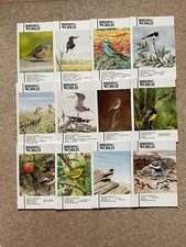 Birding world magazine volume - birding,