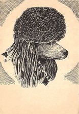 B3405 Dogs Chiens Caniche  front/back scan