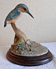 Border Fine Arts Kingfisher by