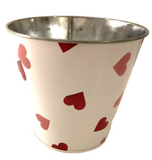 Emma Bridgewater Plant Pot M&S