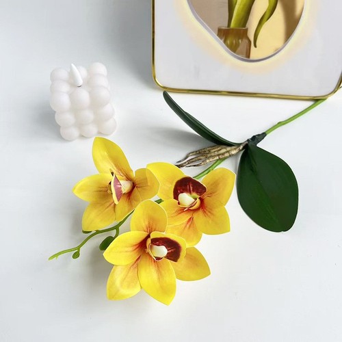 Cymbidium orchid 39cm - cymbidium,