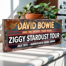 David Bowie Ziggy Stardust