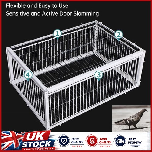 New pigeon trap cage single - pigeon,