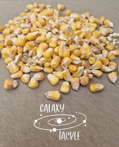 Carp fishing particle - particle, bait