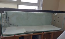 6 ft aquarium fish tank used