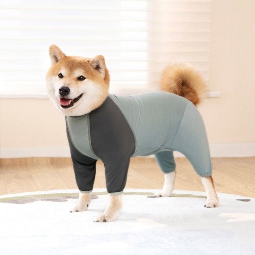 Sun protection dog summer - dog,