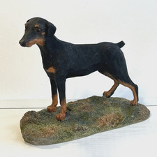 Arista of Scotland Dog