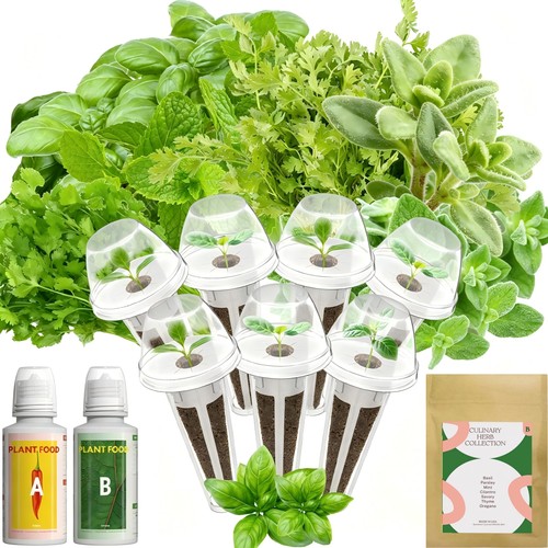 Hydroponics herb seed pod kit - hydroponics,