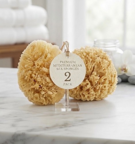 Greek natural sea - , sponge