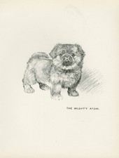 PEKINGESE PUP LOVELY VINTAGE 1937 DOG ART PRINT by KF BARKER
