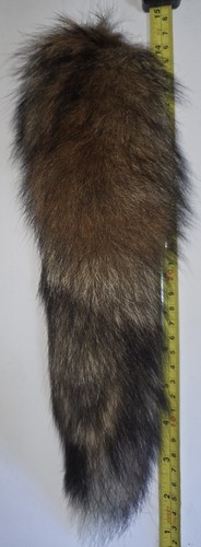Fox tail taxidermy genuine - fox,